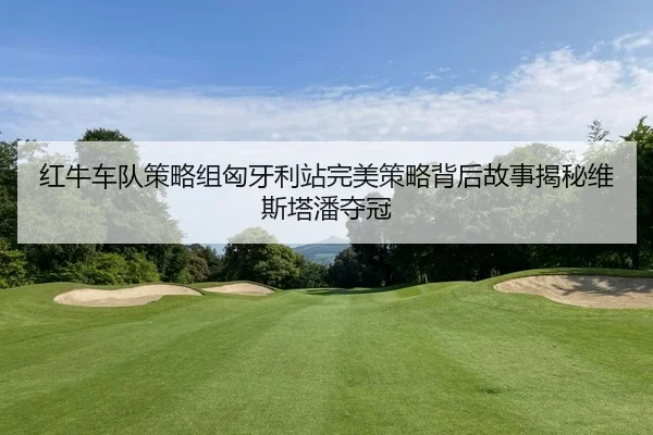 红牛车队策略组匈牙利站完美策略背后故事揭秘维斯塔潘夺冠